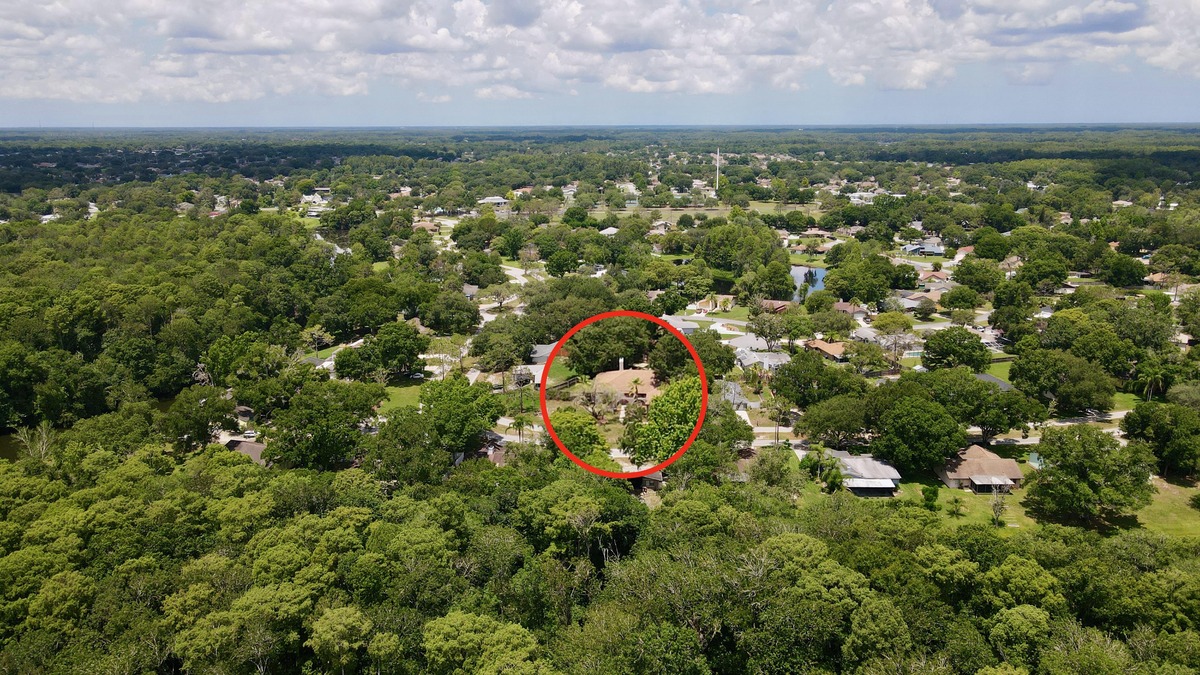 4617 Parkway Blvd, Lake Padgett Estates East, FL 34639 SmartReal