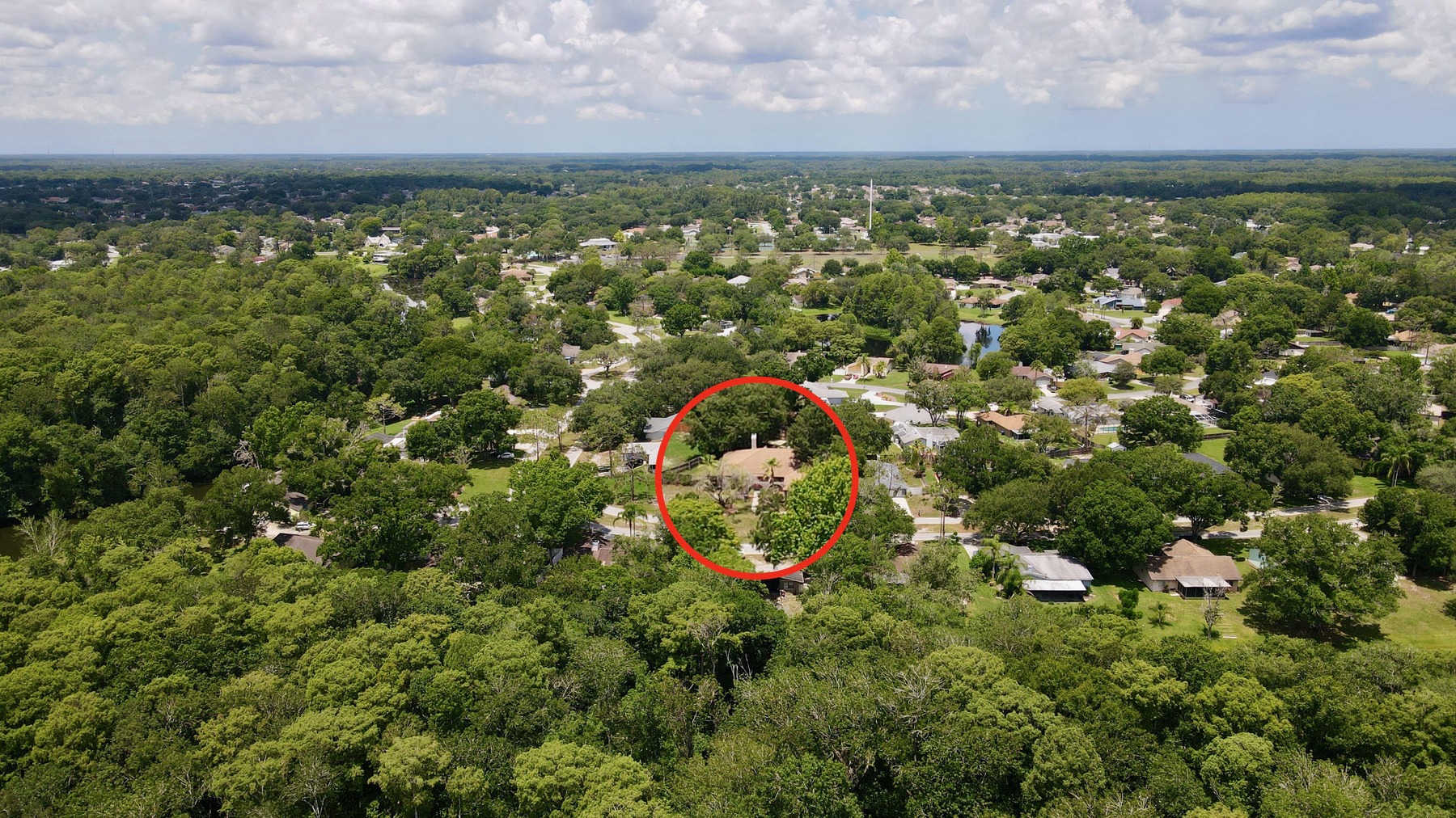 4617 Parkway Blvd, Lake Padgett Estates East, FL 34639 SmartReal